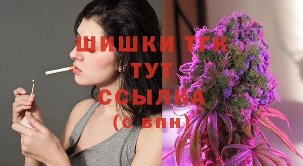 бошки Балахна