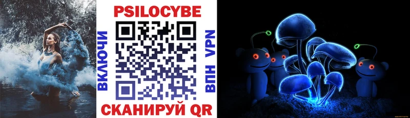Псилоцибиновые грибы Cubensis  Трёхгорный 
